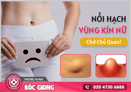 nổi hạch ở vùng kín